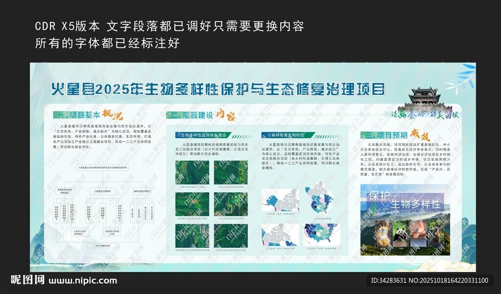 国际生物多样性展板海报