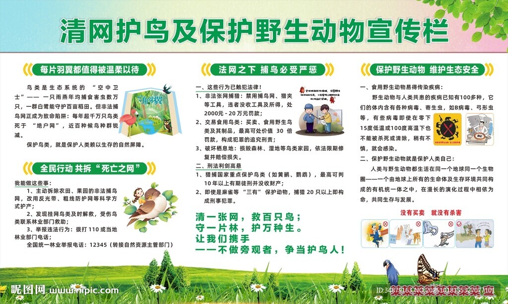 清网护鸟及保护野生动物宣传栏