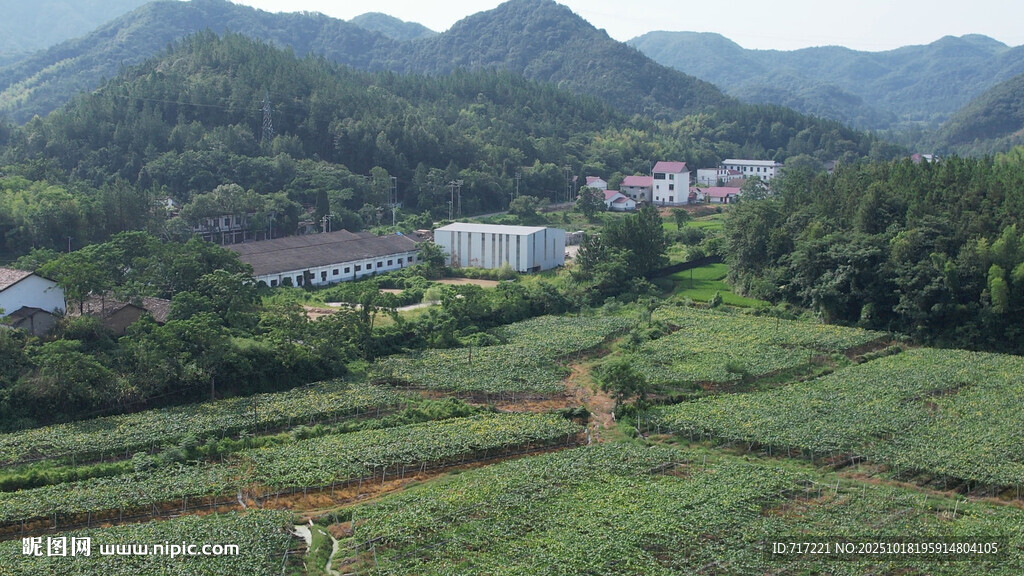 山间田园风光俯瞰图