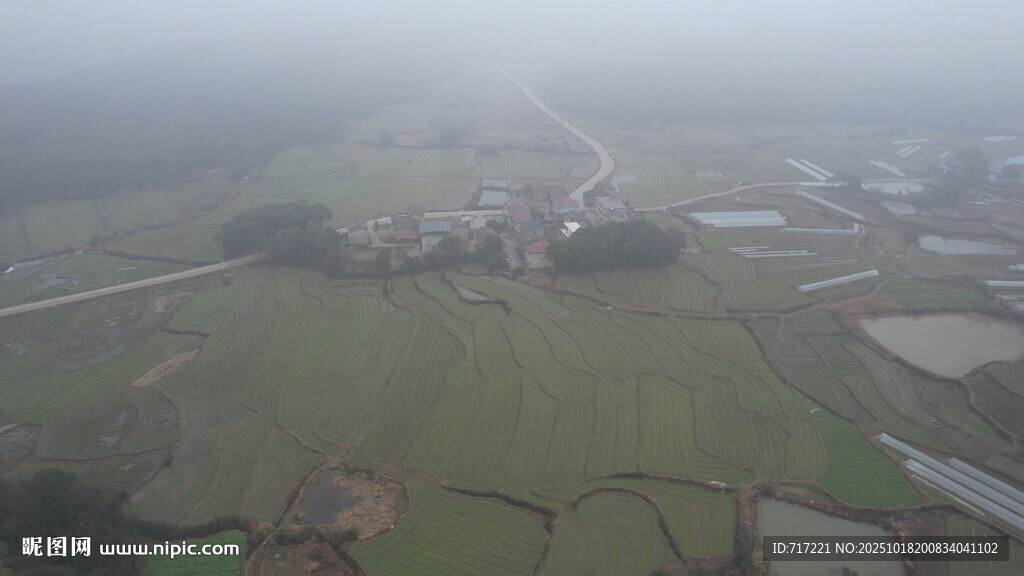 雾中乡村田野俯瞰景