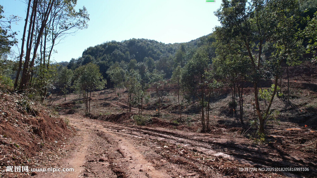 山间泥土路自然好风光
