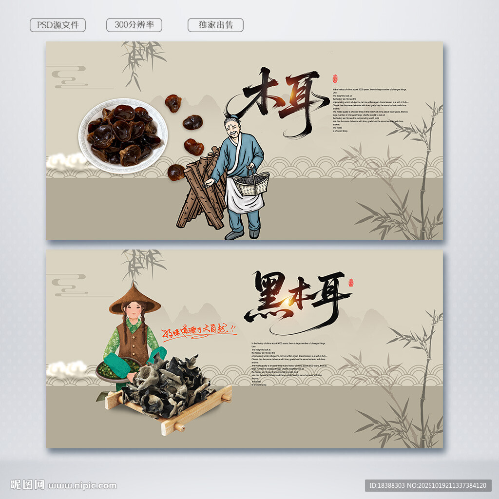 木耳