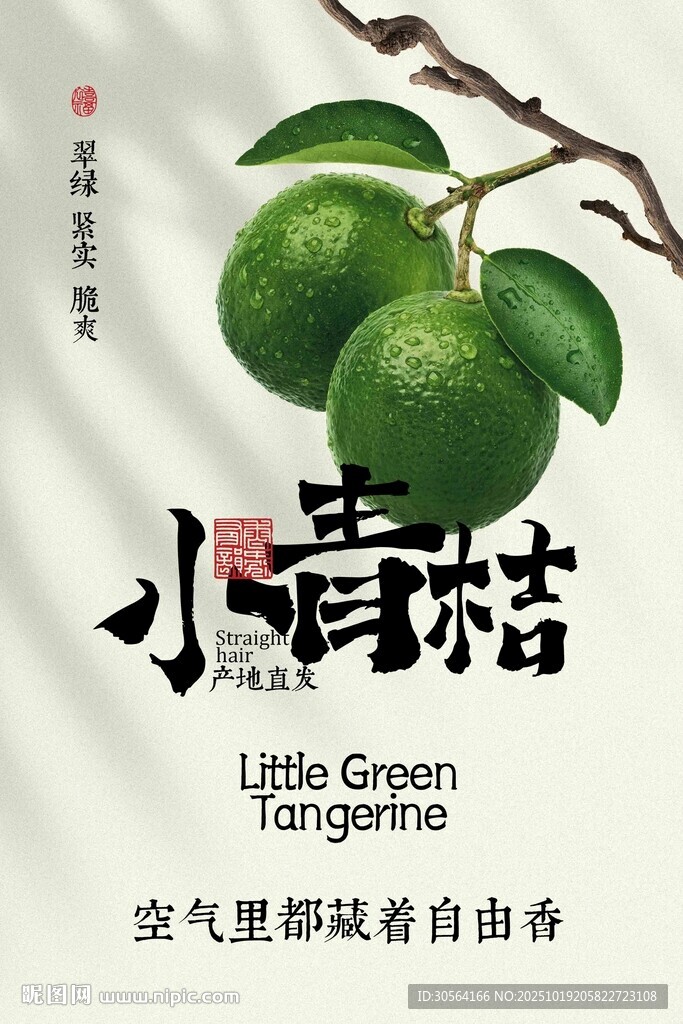 清新小青桔水果海报