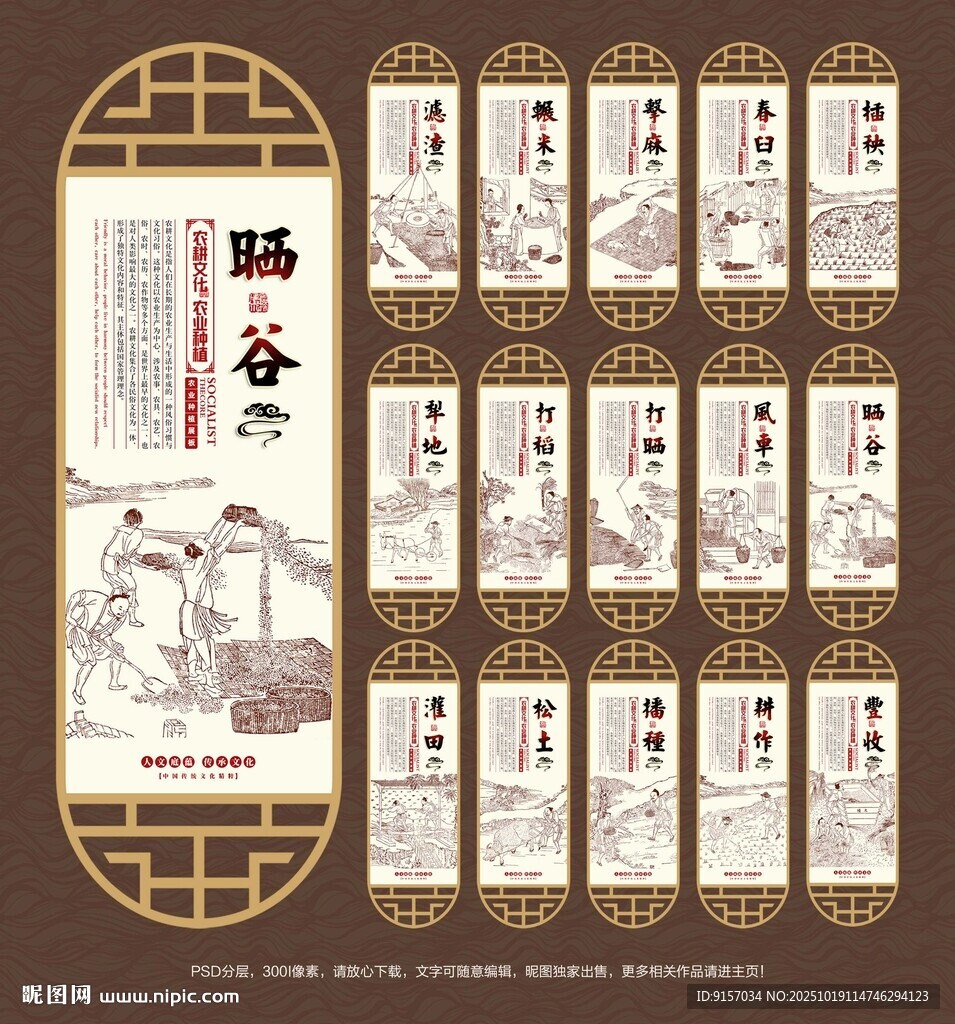 大米种植