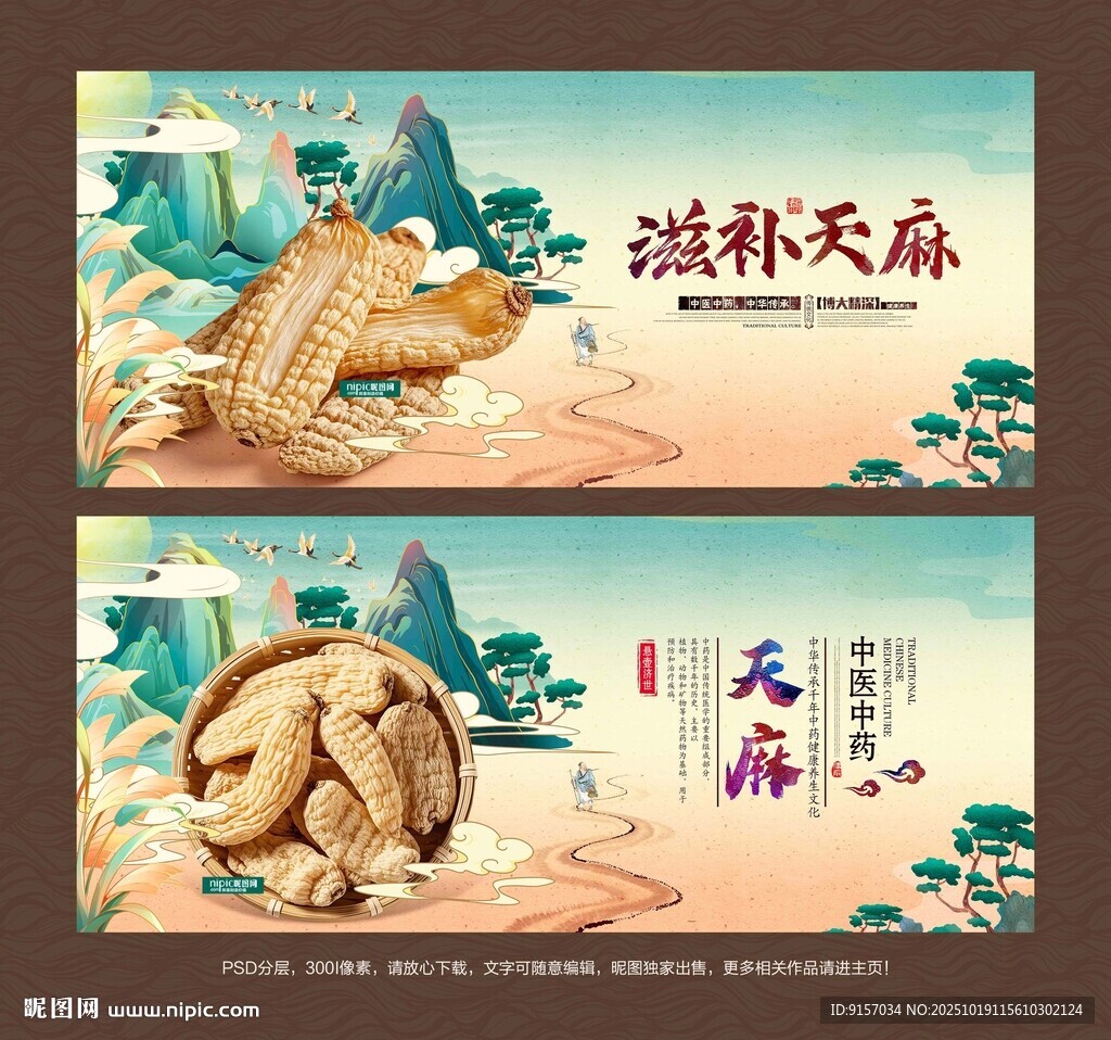天麻