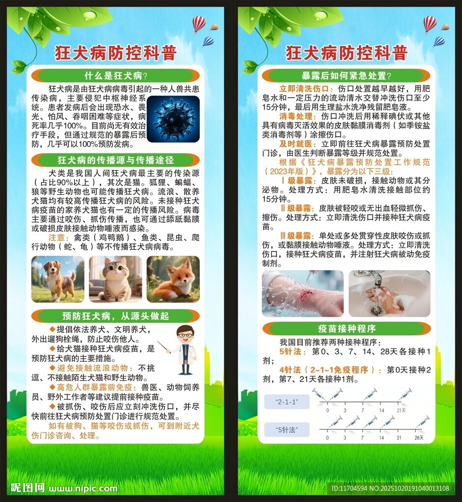 预防狂犬病知识展架