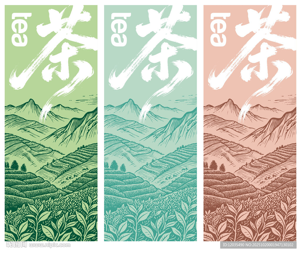 茶园茶山