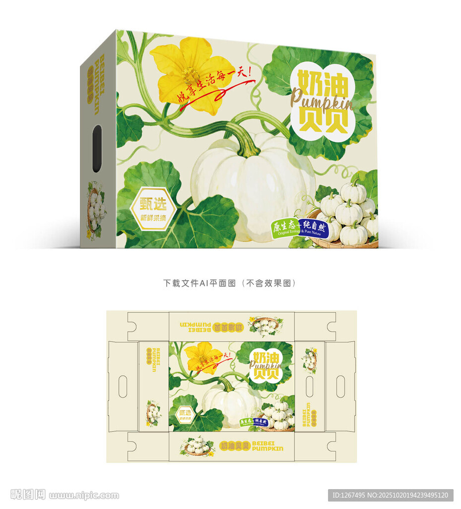 奶油南瓜彩盒