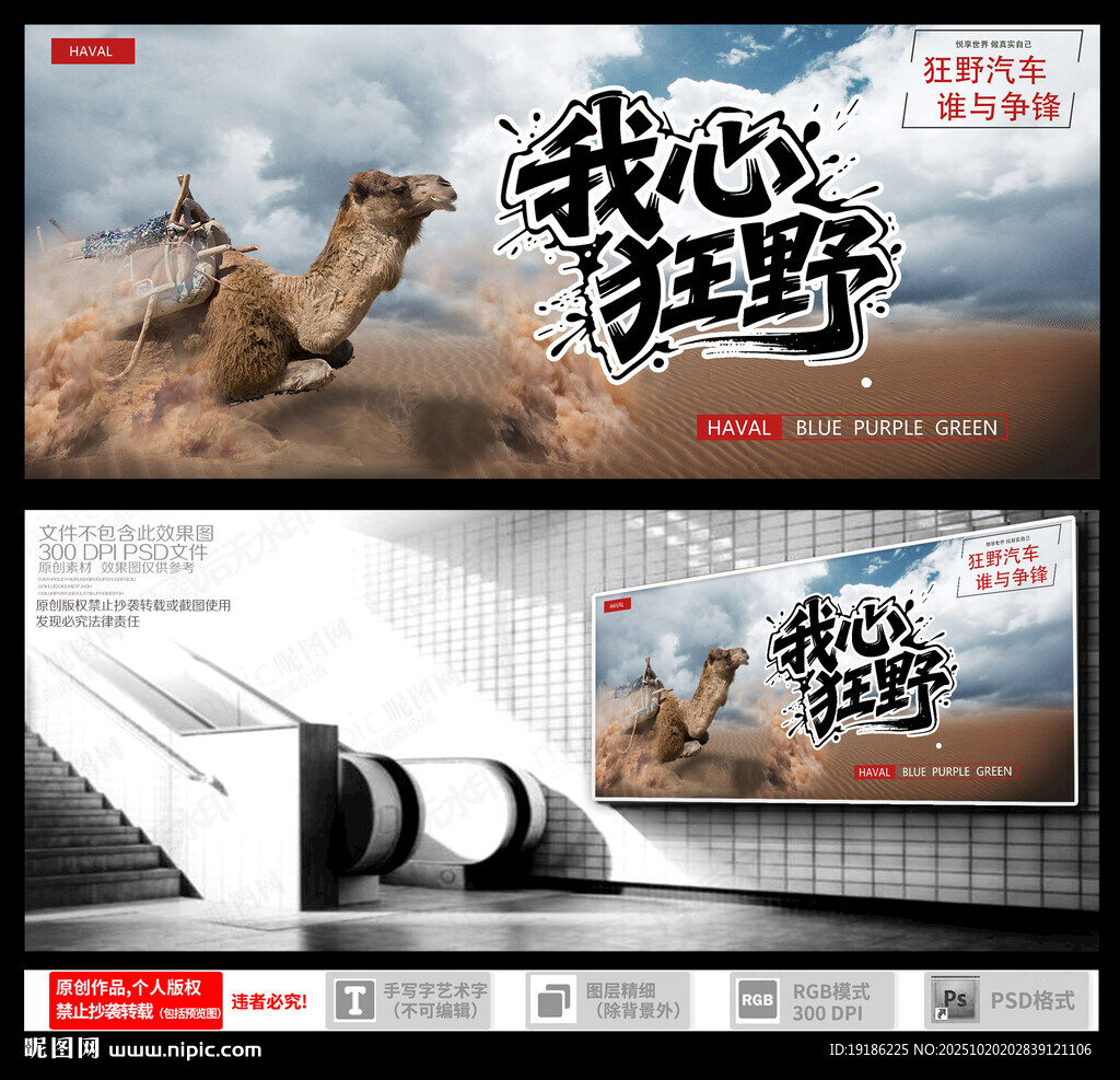 我心狂野骆驼沙漠宣传图
