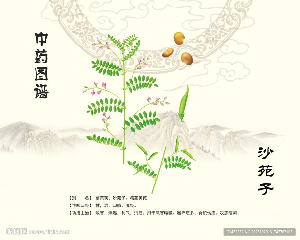 沙苑子中药材展示图