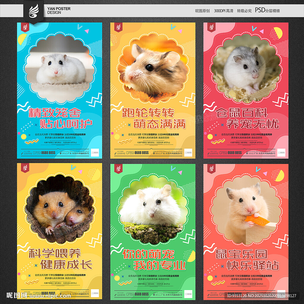 仓鼠