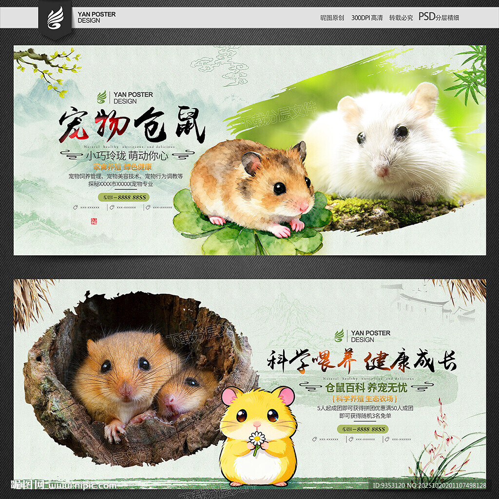 仓鼠
