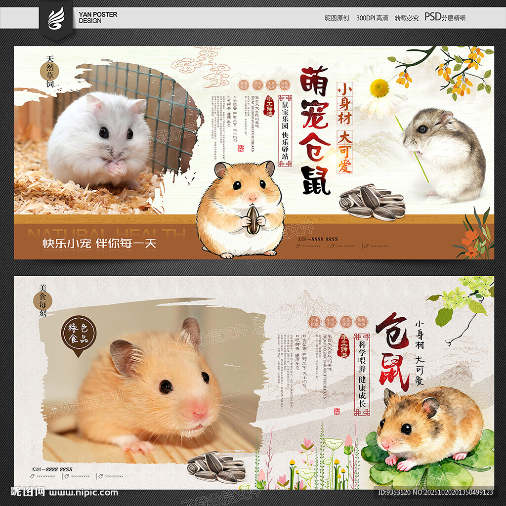 仓鼠