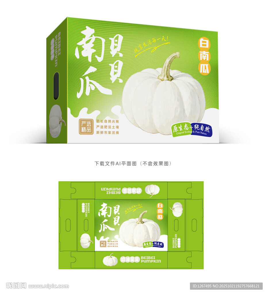 白南瓜彩盒