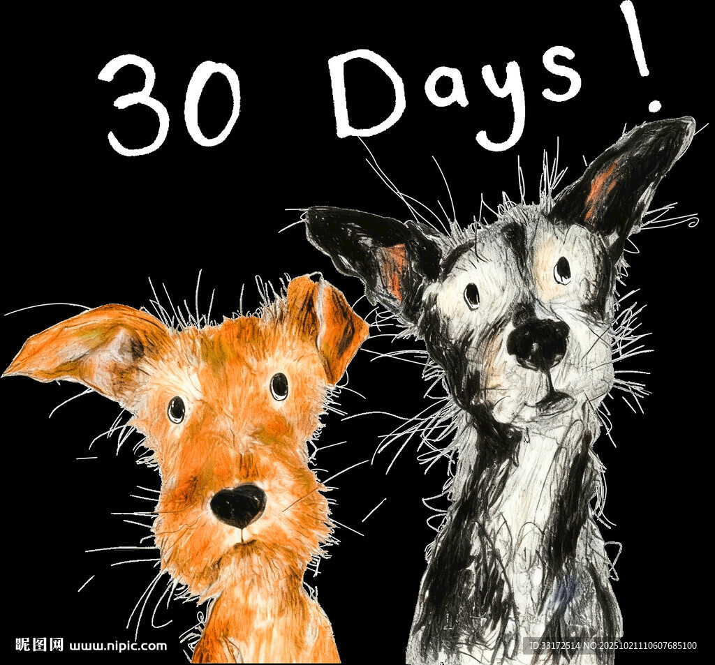 30天两只萌犬相伴时光