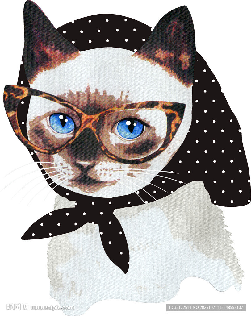 戴眼镜头巾的可爱猫咪