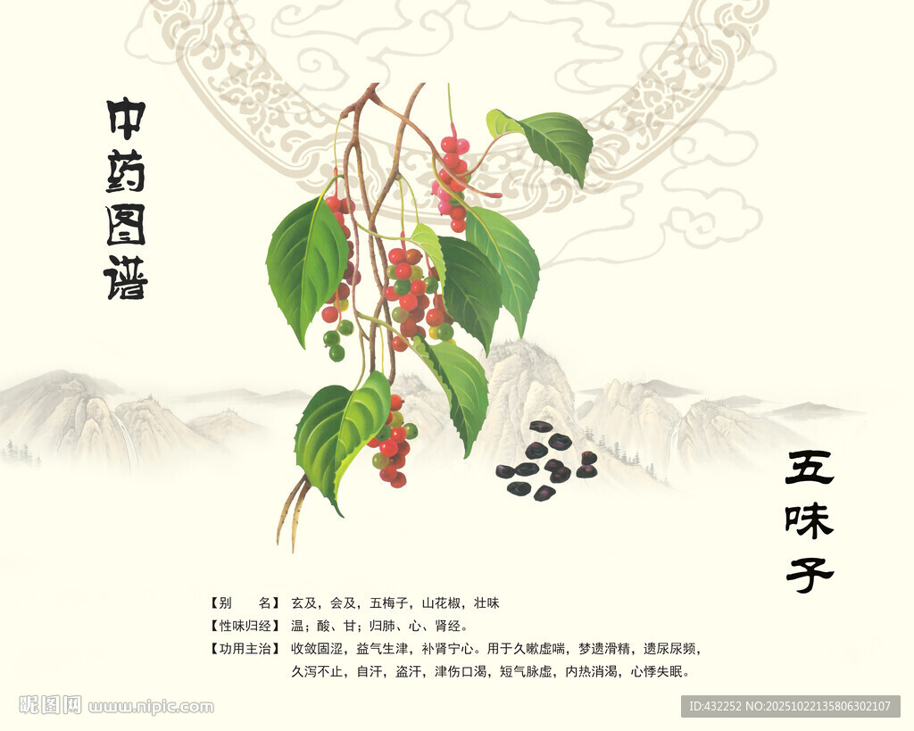五味子中药材五味子