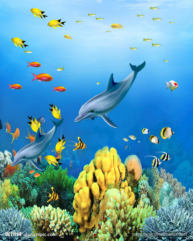 海底世界 海豚与多彩鱼类