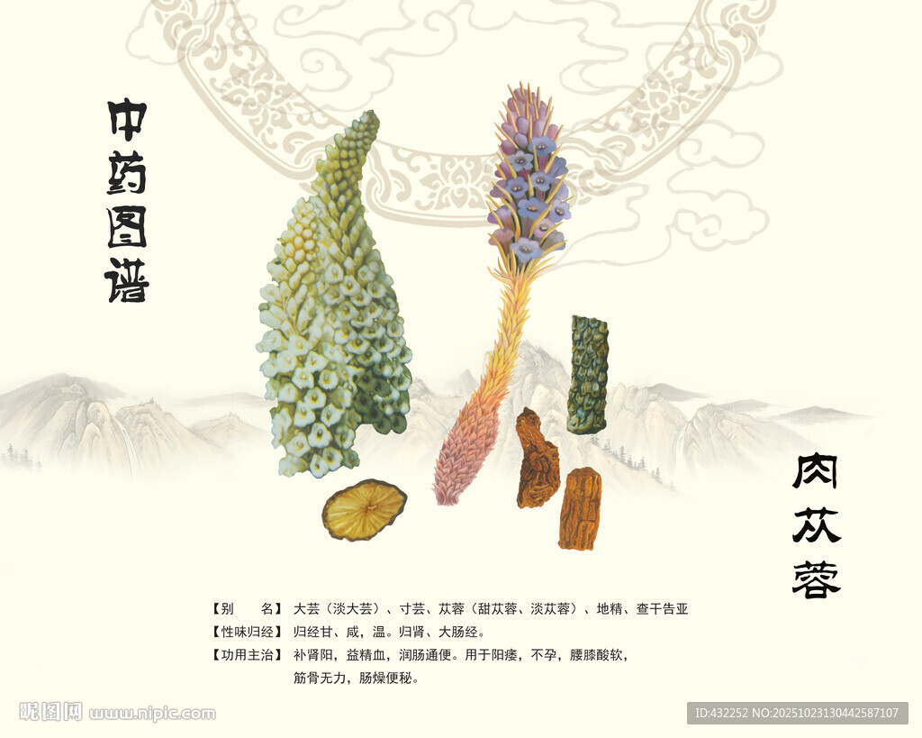 肉苁蓉中药肉苁蓉