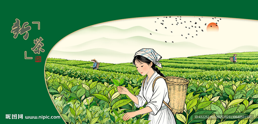采茶春茶新茶