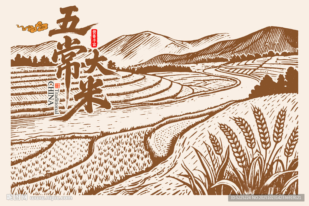 稻田插画
