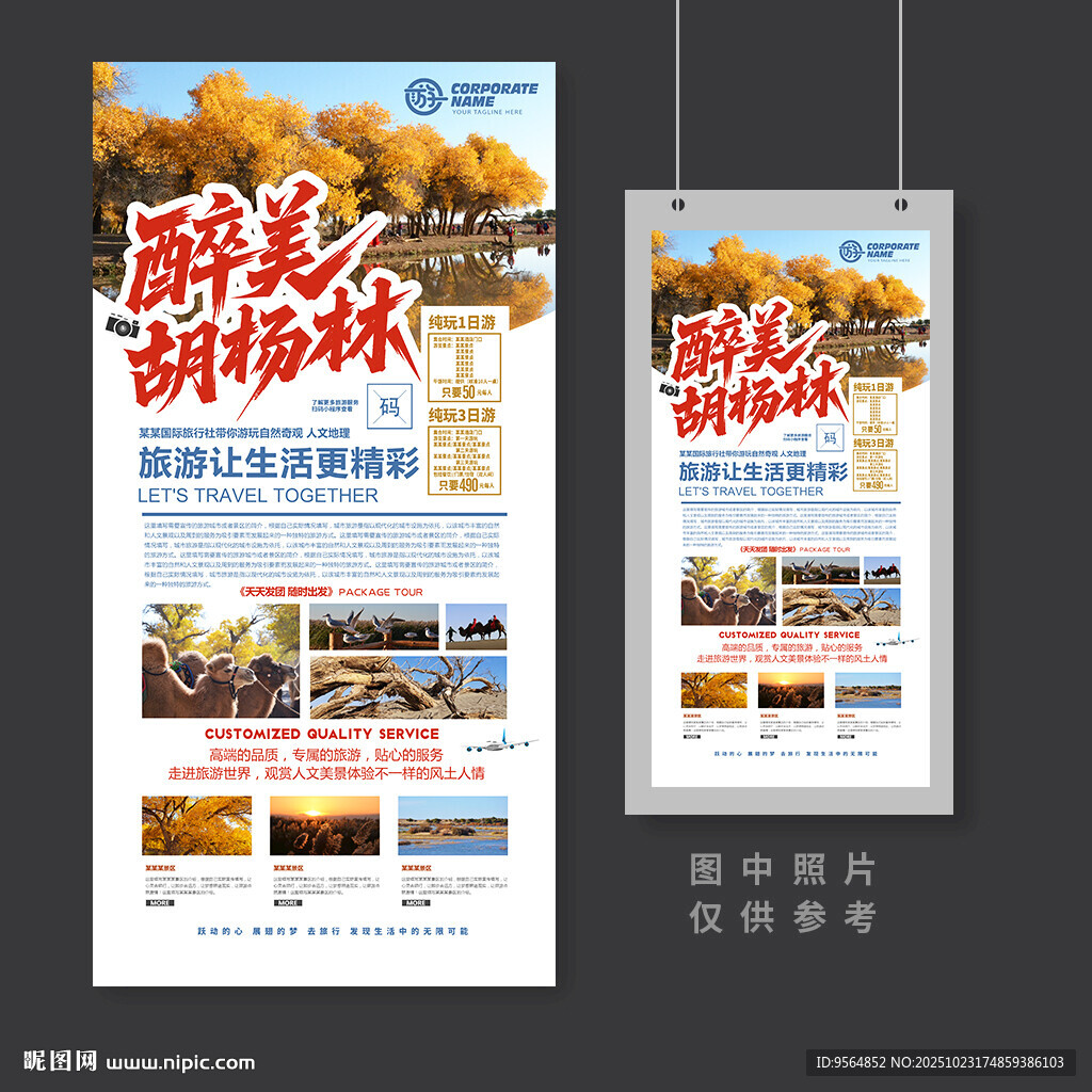 胡杨林海报