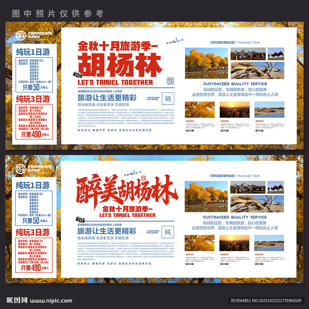 胡杨林