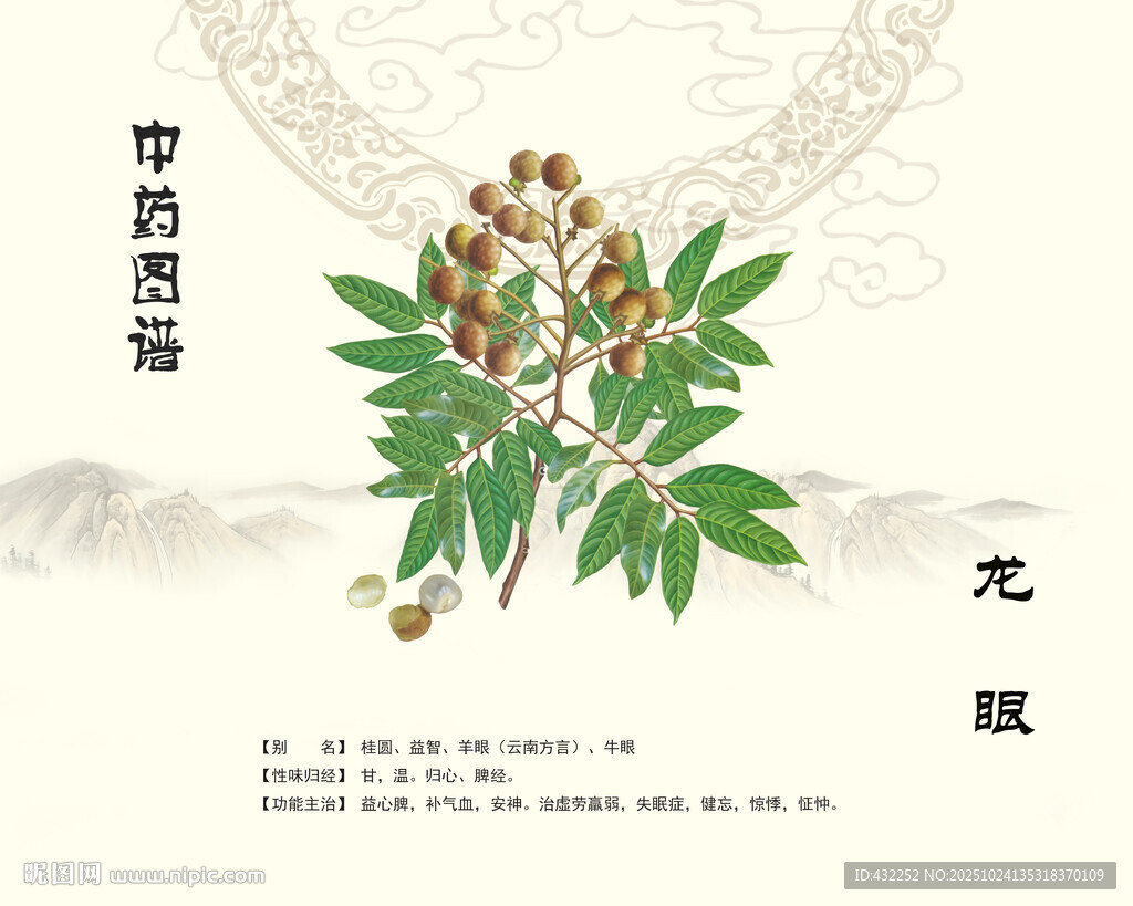 中药龙眼桂圆