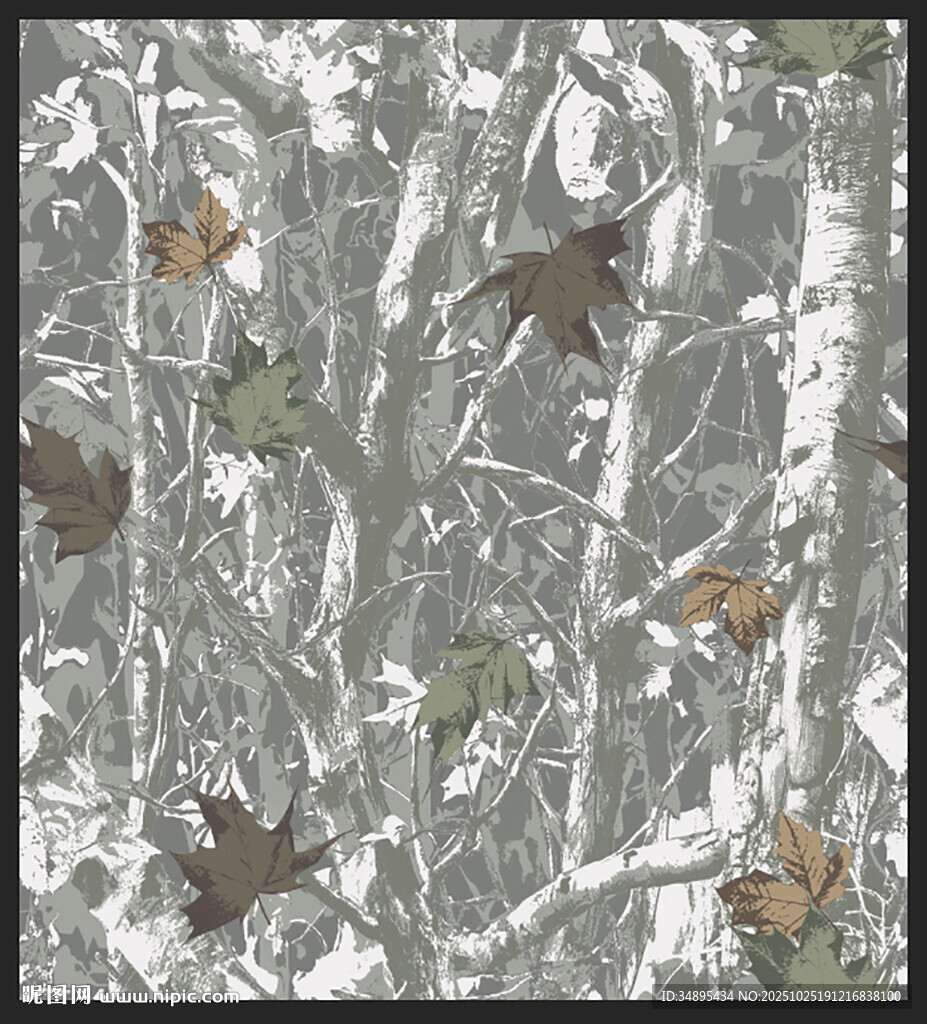 枯树  热带树 枫叶