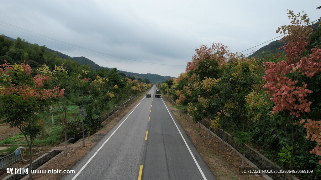 秋日公路美景
