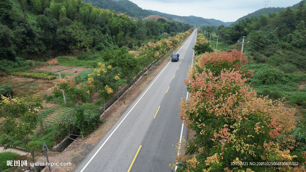山间公路美景