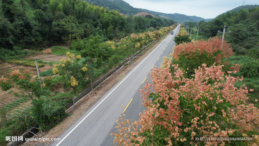 山间公路旁的多彩景致