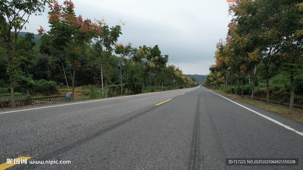 秋日公路两旁彩叶相伴