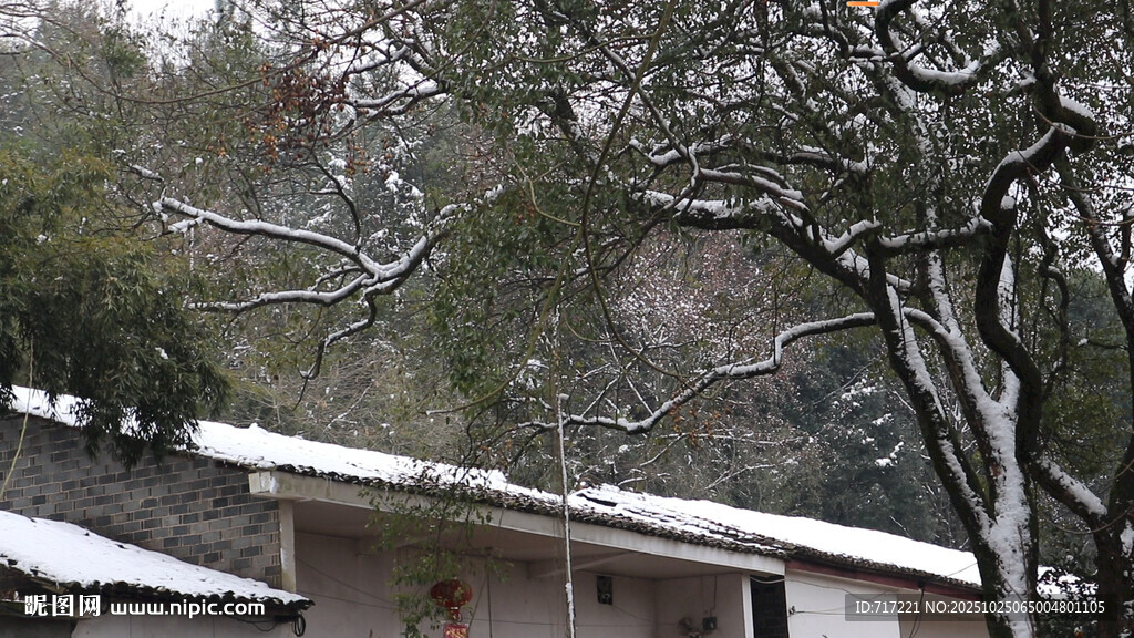 雪覆屋顶与树木的景致