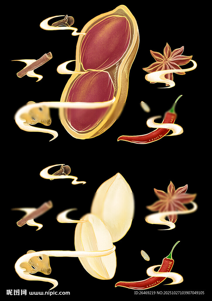 五香花生香料包装插画手绘图