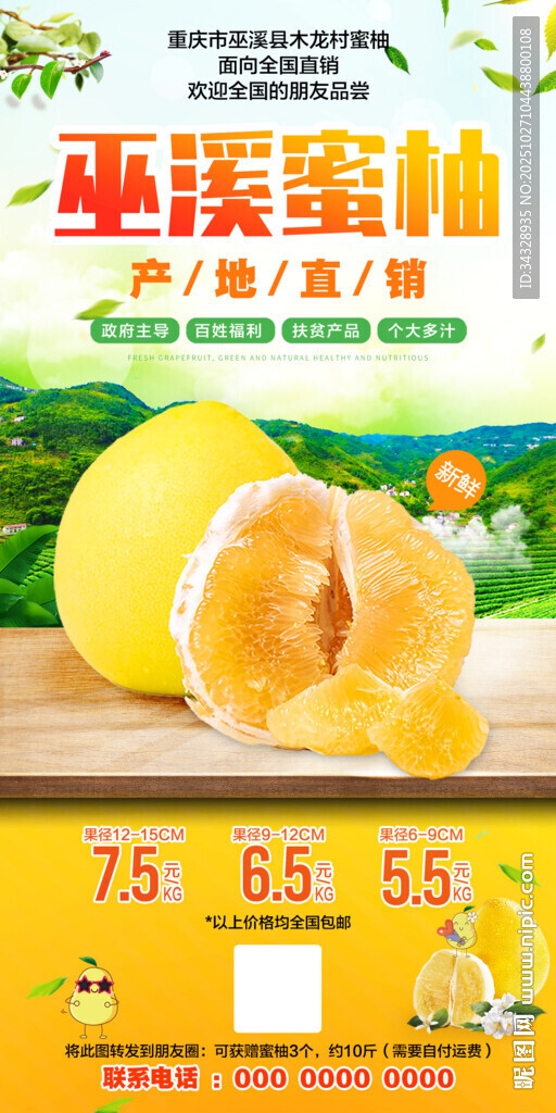 巫溪蜜柚柚子水果海报