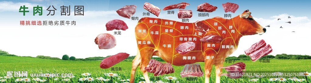 牛肉分割图