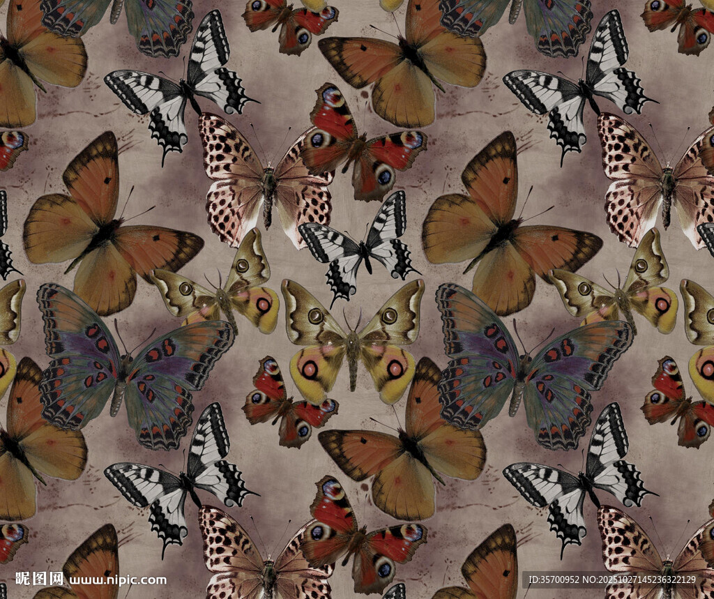 多彩蝴蝶图案纹理背景
