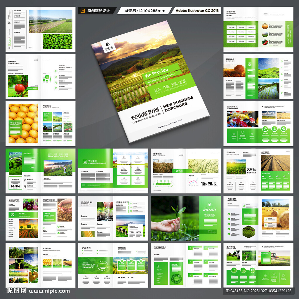 农产品宣传册