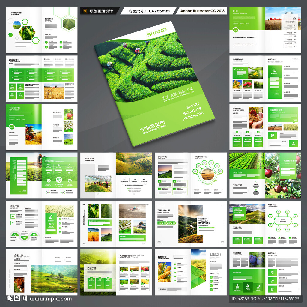 农产品宣传册