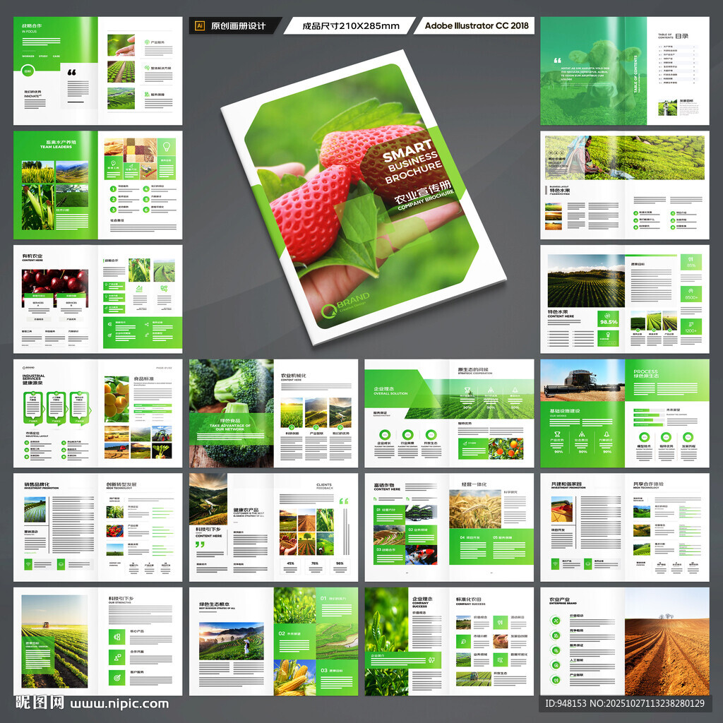 农产品宣传册