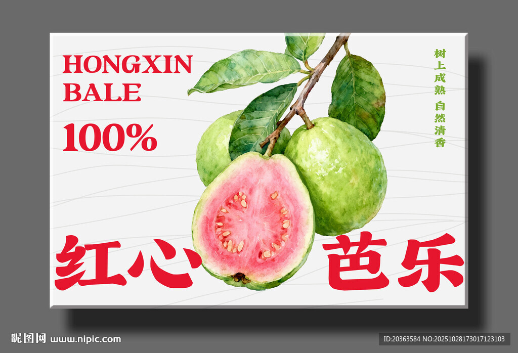 手绘芭乐水果包装设计图