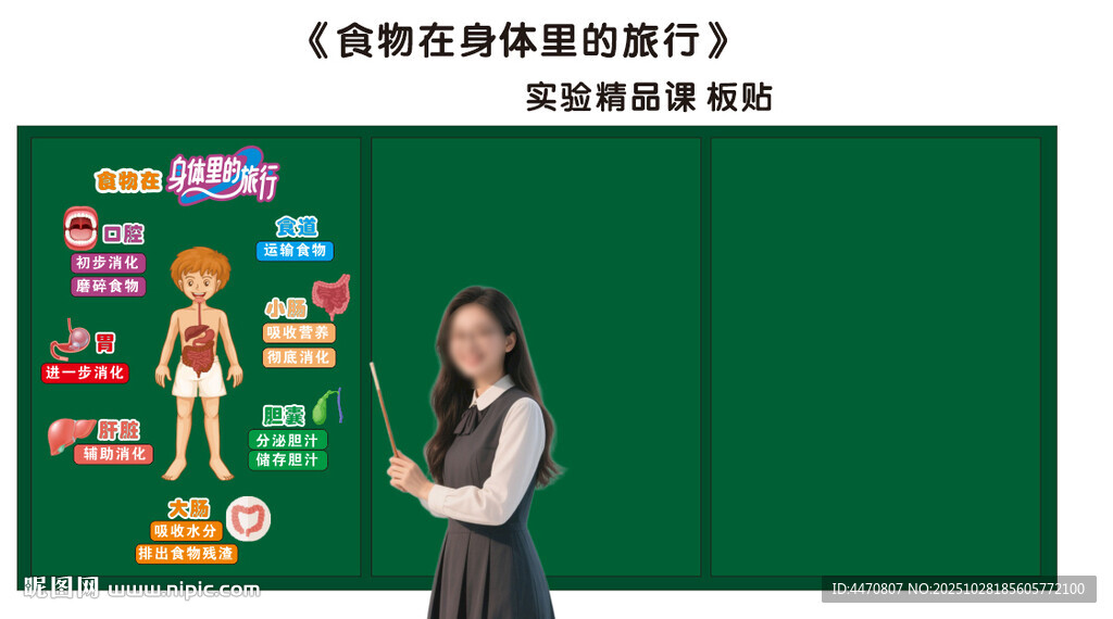 食物在身体里的旅行