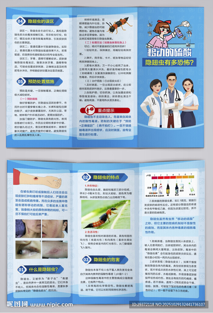 移动的硫酸隐翅虫的危害三折页