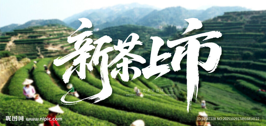 新茶上市