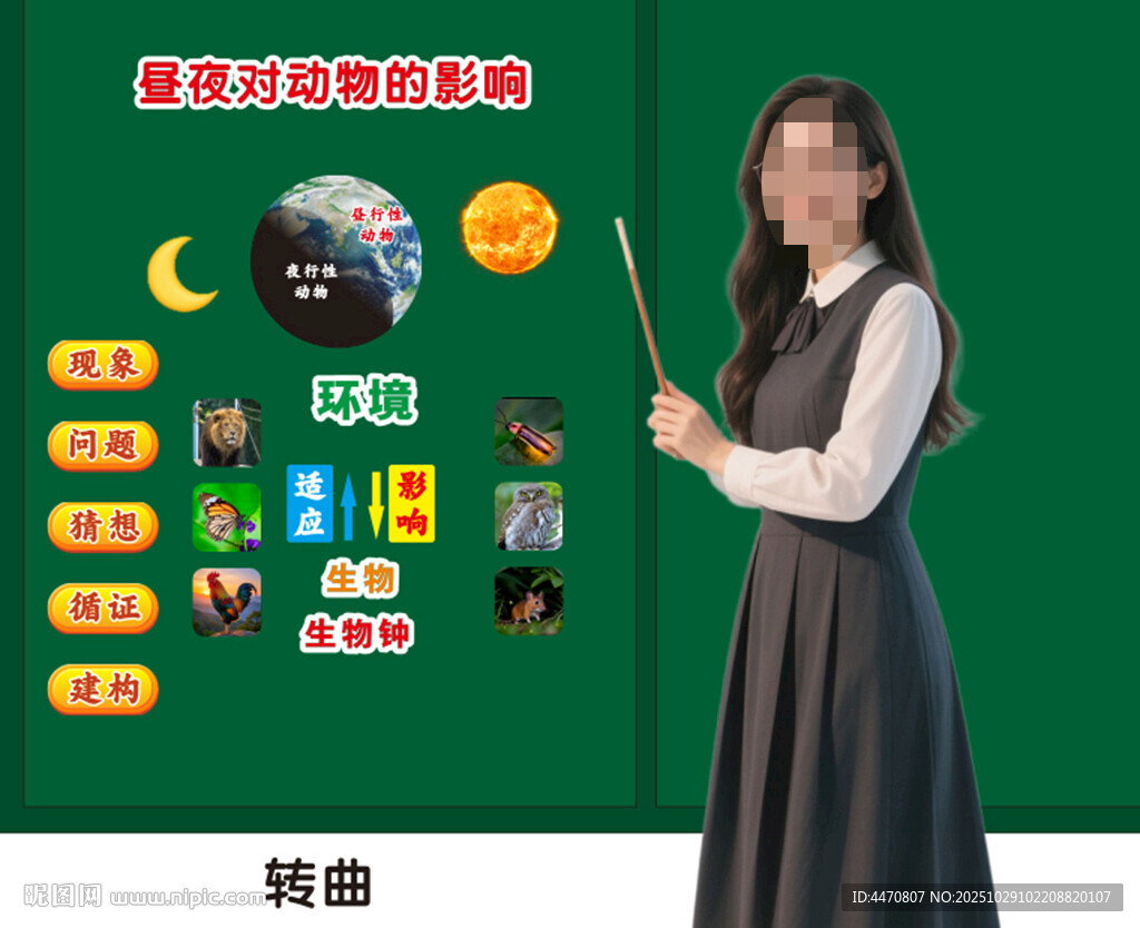 精品课板贴  昼夜对动物的影响