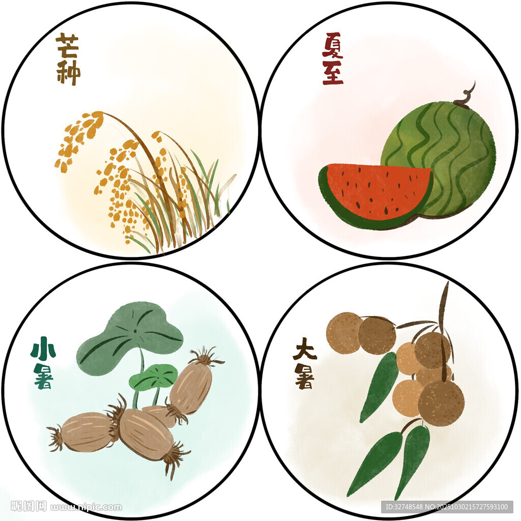 24节气芒种夏至小暑大暑节气图