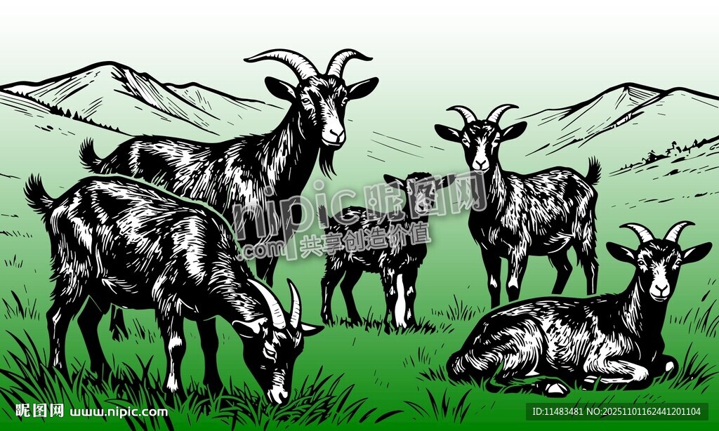 山羊羊群草原牧场