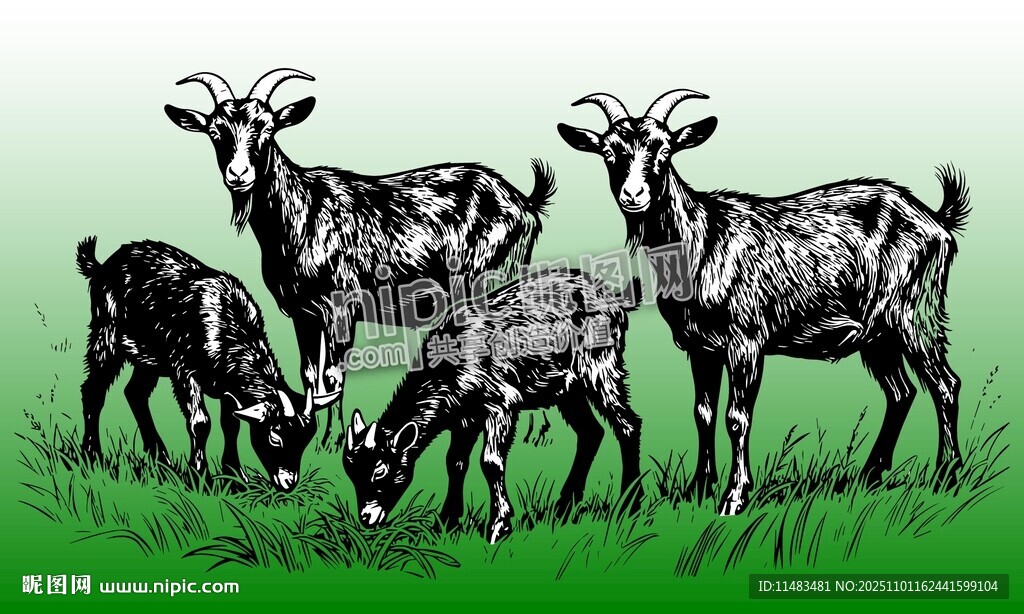 矢量山羊羊群