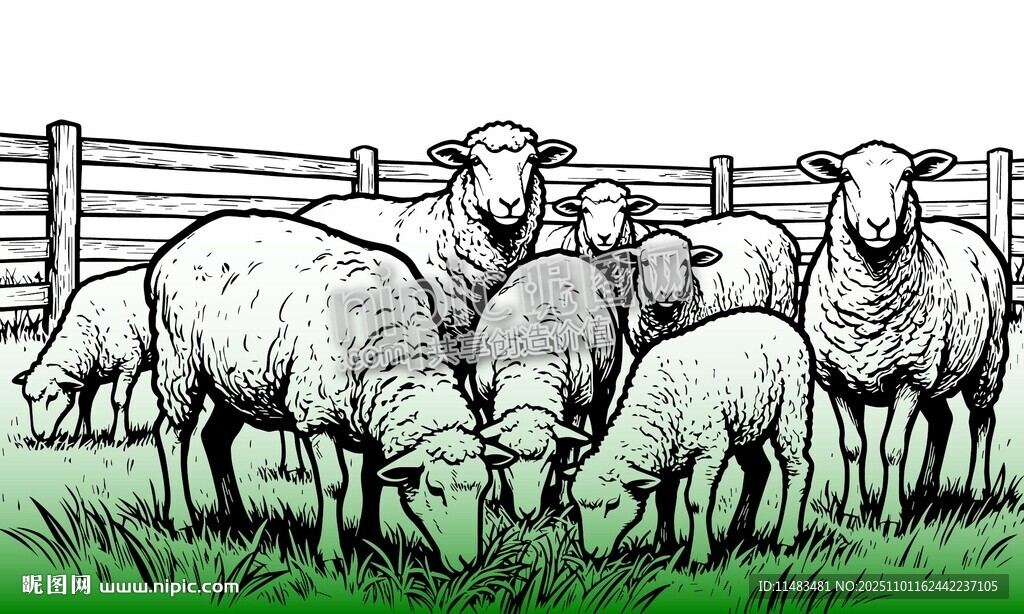 矢量羊群绵羊羊圈农场